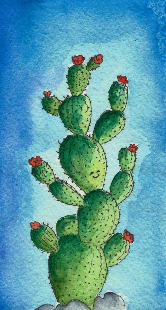 cactus2