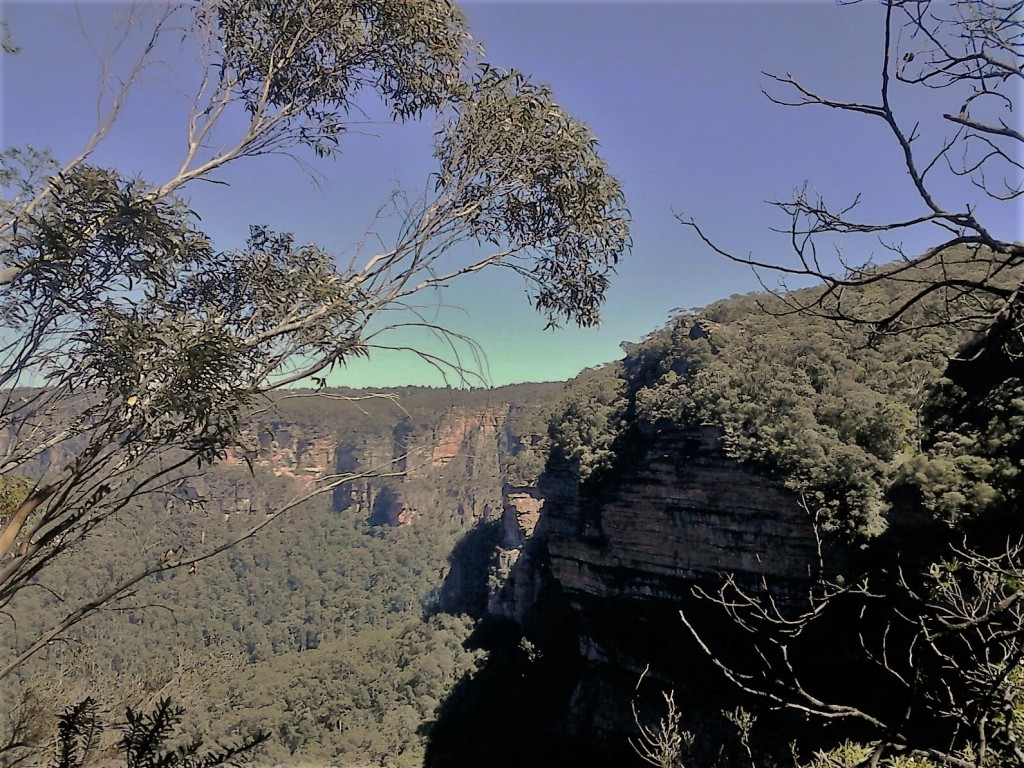 IMG-20160628-WA0005