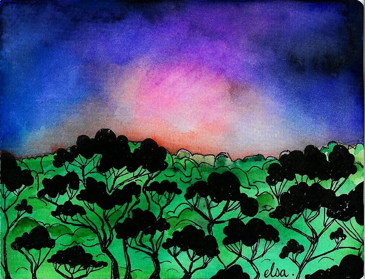 gumtree (2)